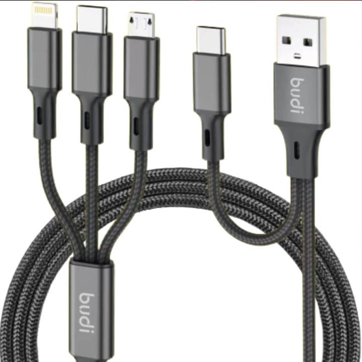 Budi 2 in 1 Data Cable