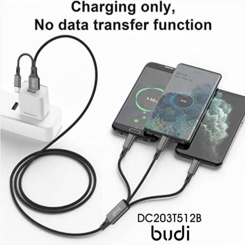 Budi 2 in 1 Data Cable