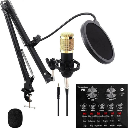 Professional Condenser Microphone With Patented Audio Reference Companding For Crystal-clear Sound